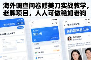 海外调查问卷賺美刀实战教学,老牌项目,人人可做稳如老狗-圆梦资源站