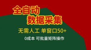 全自动数据采集，无需人工，单窗口50+，0成本可批量矩阵操作【揭秘】-圆梦资源站