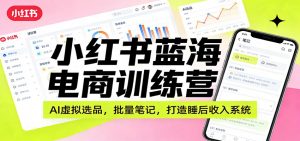 小红书蓝海电商训练营：AI虚拟选品，批量笔记，打造睡后收入系统-圆梦资源站