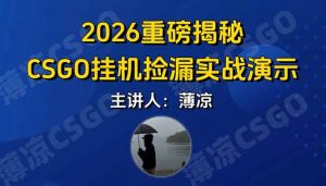 CSGO游戏挂机游戏搬砖最新升级，普通小白一部手机可日入300+当天见结果，支持验证-圆梦资源站