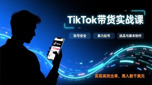 TikTok带货实战课，涵盖账号安全、暴力起号、选品与脚本制作，实现高效出单，周入数千美元-圆梦资源站
