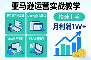 亚马逊运营实战教学,亚马逊平台+Listing优化+Vine秒杀+FBA发货等,快速上手,实现店铺月利润1W-圆梦资源站