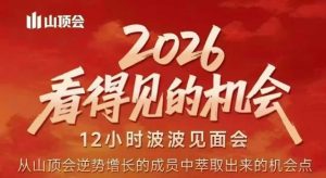 2026看得见的机会，剖析十几个实战案例，可直接抄作业，再优化迭代，内容超全，干货满满-圆梦资源站