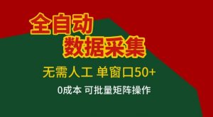 全自动数据采集项目，无需人工，单窗口可达50+收益，操作简单无难度，一个人也能轻松实现矩阵【揭秘】-圆梦资源站