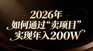 站在2026年的十字路口：一个普通人如何通过卖项目实现年入200万-圆梦资源站