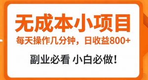 无成本小项目 每天操作几分钟，真实日收益800+ 副业必看 小白必做！-圆梦资源站
