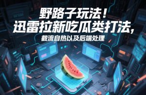 野路子玩法！迅雷拉新吃瓜类打法，截流自热以及后端处理-圆梦资源站