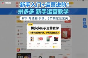 新手入门+运营进阶！拼多多新手运营教学，8节吃透新手课，8节搞定运营关-圆梦资源站