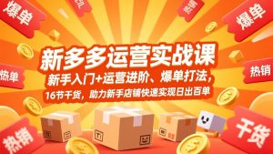拼多多运营实战课，新手入门+运营进阶、爆单打法，16节干货，助力新手店铺快速实现日出百单-圆梦资源站