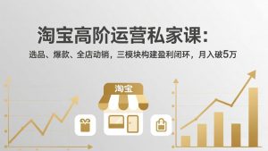淘宝高阶运营私家课：选品、爆款、全店动销，三模块构建盈利闭环，月入破5万(更新26年2月-圆梦资源站